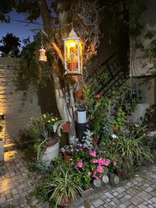 a garden with potted plants and a lantern at Monoambiente Noah in Ezeiza