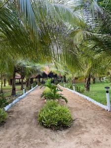 a row of palm trees in a park with grass at The Tottam Beach Hotel - Trincomalee in Trincomalee +81 photos