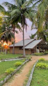 a building with palm trees in front of it at The Tottam Beach Hotel - Trincomalee in Trincomalee