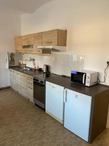 a kitchen with a counter top with a microwave at Apartmán Na Pavlači in Velký Třebešov