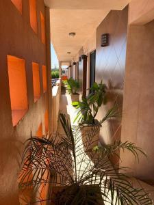a hallway with potted plants on the side of a building at Suites Posada Obregon in Ciudad Obregón