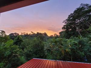 a view from the roof of a house at sunset at Greenhouse in Almirante