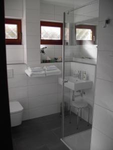 uma casa de banho com um chuveiro, um lavatório e um WC. em Haus Maximilian em Rammelsbach