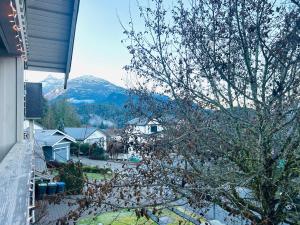a group of birds sitting on a tree at Ride and Climb Lodge in Squamish