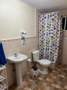 a bathroom with a toilet and a sink and a shower curtain at Cabañas Sol y Mar in Puerto Montt