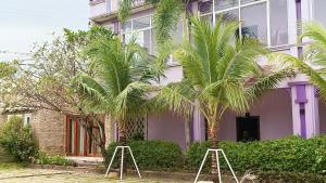 two palm trees in front of a purple building at B Guesthouse in Kampot +21 photos