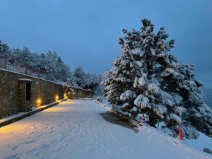 a snow covered street with a christmas tree at Alafe Relax & View in Synikia Mesi Trikalon