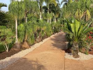 a walkway with palm trees and a dirt road at Tranquility Studio Two in Mission Beach