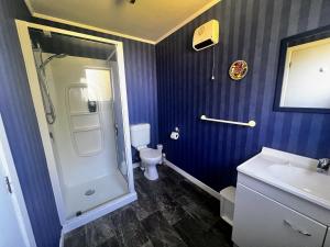 a bathroom with a shower and a toilet and a sink at Cosy Corner Te Anau in Te Anau