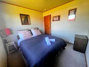 a bedroom with a blue bed and a television at Cosy Corner Te Anau in Te Anau