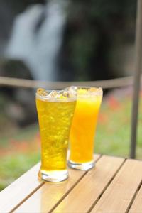 two glasses of beer sitting on a wooden table at Doi Inthanon Waterfall Garden in Ban Sop Mae Klang +30 photos