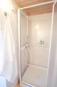 a shower with a glass door in a bathroom at Rabygatan cottage in Old Limhamn in Malmö +8 photos