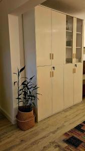 a plant in a pot next to a white cabinet at The loft - A charming sanctuary in Rivière Noire