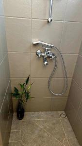 a shower in a bathroom with a plant at The loft - A charming sanctuary in Rivière Noire +25 photos
