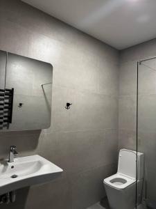 a bathroom with a sink and a toilet and a mirror at Cottages Grun in Yablunytsya +11 photos