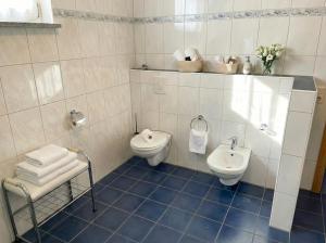 a bathroom with a toilet and a sink at Bergperle am Lindberg in Perlesreut