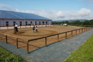 Hosté ubytování Reit- und Sporthotel Eibenstock