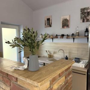 a kitchen with a vase with a plant on a counter at Charlie porta in Abádszalók