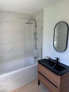 a bathroom with a shower and a sink and a mirror at A Orléans proche orée de sologne in Orléans +22 photos