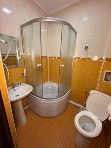a bathroom with a shower and a toilet and a sink at Гостиница TERRA in Almaty +25 photos