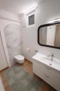 a bathroom with a sink and a toilet and a mirror at Zimmer & Apartments Wolfsberg C2 in Wolfsberg