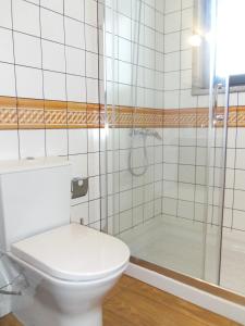 uma casa de banho com um WC e um chuveiro em Casa do Ferrador em São Pedro de Vale do Conde