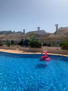 a pool with a pink flamingo in the water at Casa Mila in El Verger