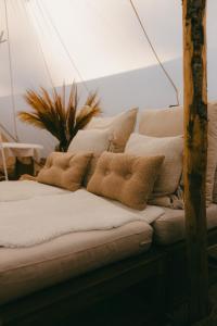 ein Sofa mit Kissen darauf und einer Pflanze in der Unterkunft Essential by cin in Zonhoven