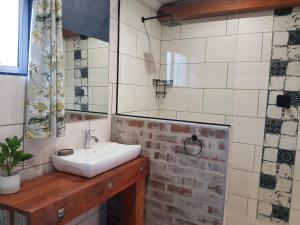 a bathroom with a sink and a mirror at Coach House Bed and Breakfast in Greytown
