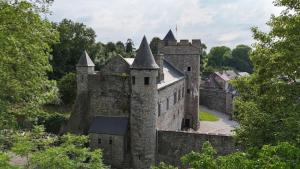 an old castle with trees in front of it at Studio face au château de Thy in Thy-le-Château