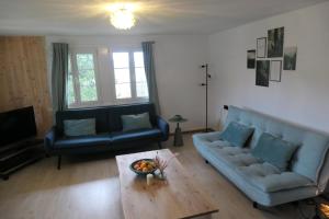 a living room with two blue couches and a coffee table at theBlackwood in Todtnauberg