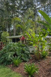 a garden with plants in front of a house at Private Rainforest Guesthouse in Doonan in Doonan