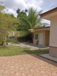 a house with a palm tree in the yard at SemiD in Batu Kikir