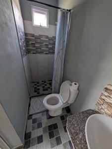 a bathroom with a toilet and a shower and a sink at Desirella Villa studio in Mahébourg