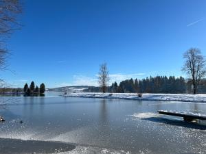 a river with snow on the ground and a bench at Ferienappartement Greta in Lechbruck