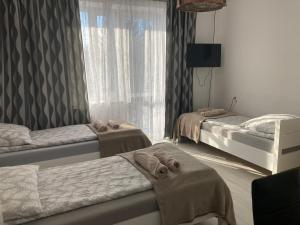 a bedroom with three beds and a window at Agroturystyka u Witka in Brynica Mokra