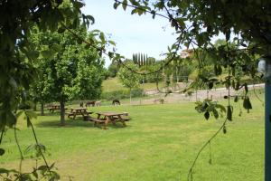 a group of picnic tables in a park at Agrimar 2 in Rignano Flaminio