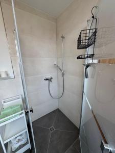a bathroom with a shower with a glass door at Eulenburg am Reuthsee Nurdachhaus mit Garten in Sulzdorf an der Lederhecke +26 photos