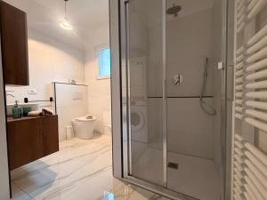 a bathroom with a shower and a toilet at Il Piano B in Molinella