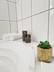 a bathroom with a sink with a plant and towels at Viktoria Apartment in Speicher +18 photos
