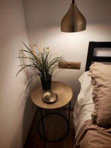 a table with a plant on it next to a bed at Ca l'Eli Loft in Montblanc