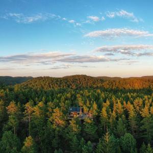 an aerial view of a house in the middle of a forest at Gluba Treetop Cabins Furunåla in Harkmark