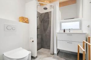 a bathroom with a shower and a toilet and a sink at 20422-Samso-Egernvej-16 in Ballen