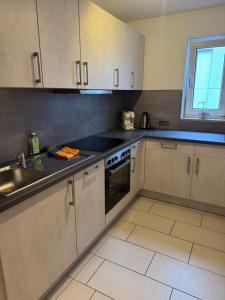 eine Küche mit Spüle und Herd in der Unterkunft Apartment Simone in Lörrach + 9 Fotos