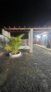 a palm tree in a pot in front of a building at Prive Dona Valentina in Itamaracá +4 photos