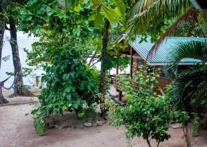 Giardino di Blue Island Divers Casita Azul