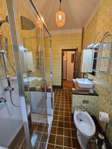 a bathroom with a shower and a toilet and a sink at Dimora Paradise in Laglio +44 photos