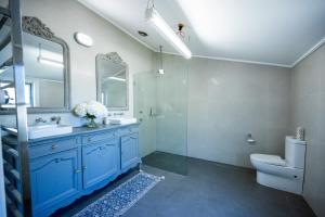 a bathroom with a blue sink and a toilet at Rosewood Terrace in Bathurst +23 photos