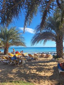 a beach with people laying on chairs and palm trees at T2 Apart - Beach View - Santa Maria Center in Santa Maria