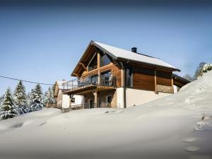 a house covered in snow in front of it at Chalet L'Ursus - OVO Network in Gérardmer